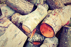Asney wood burning boiler costs